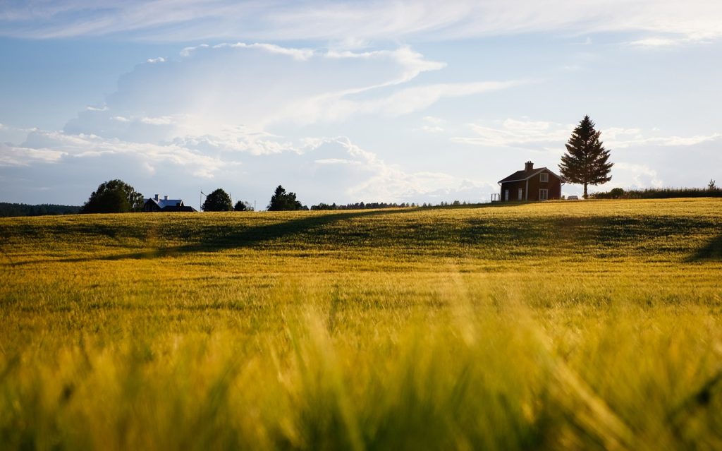 agriculture, blur, countryside